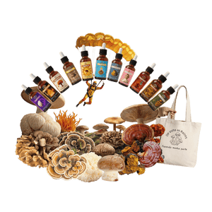 Combo 11 Todas Espécies – Linha de Composto Bionergético + ECOBAG BRINDE