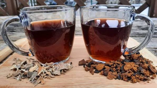 Chá de cauda de peru: 5 modos de preparo