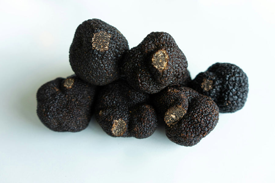 Trufas negras inteiras sobre fundo claro
