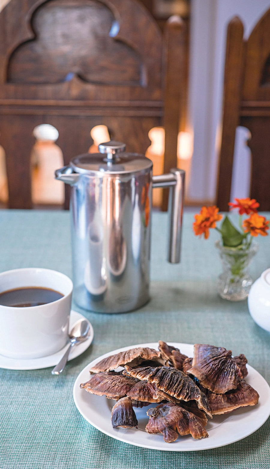 Chá de reishi: 5 modos de preparo