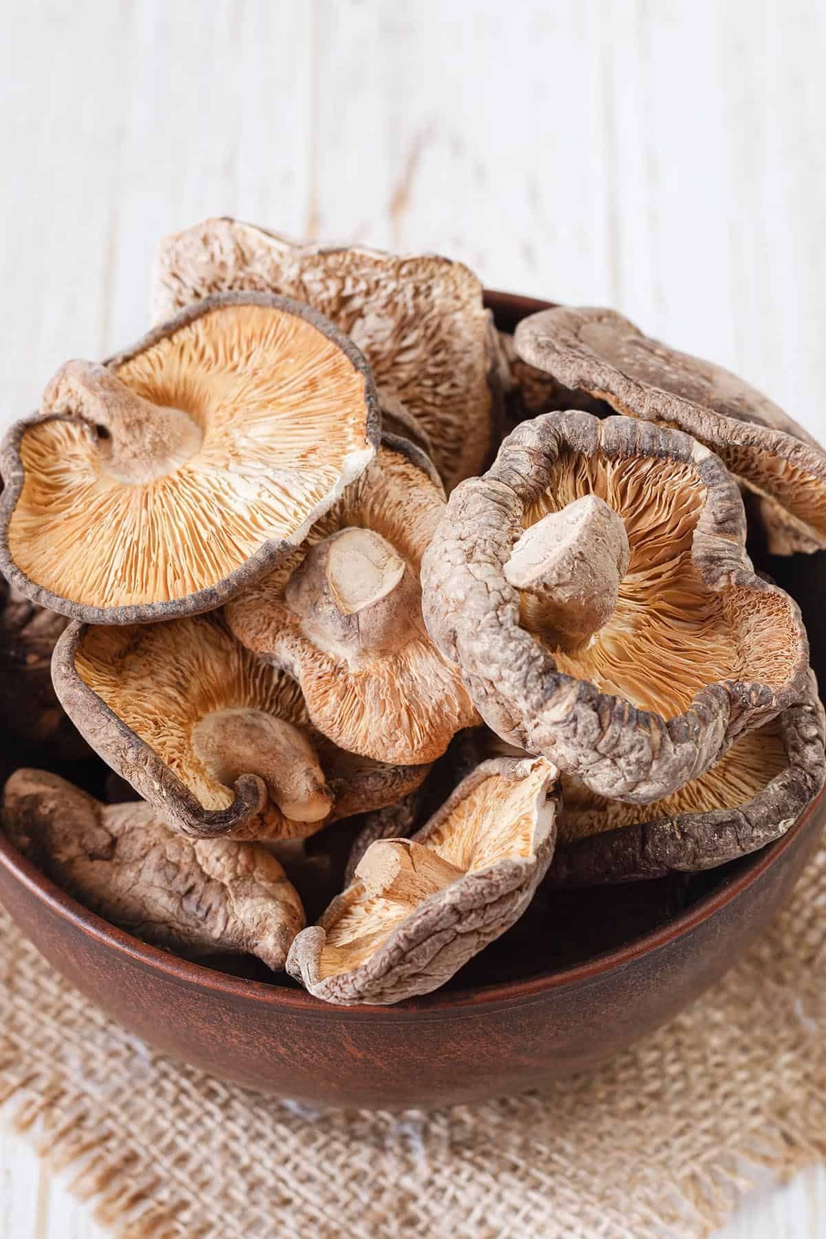 Funghi seco de perto, chapéus desidratados com a textura enrugada