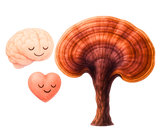 Reishi