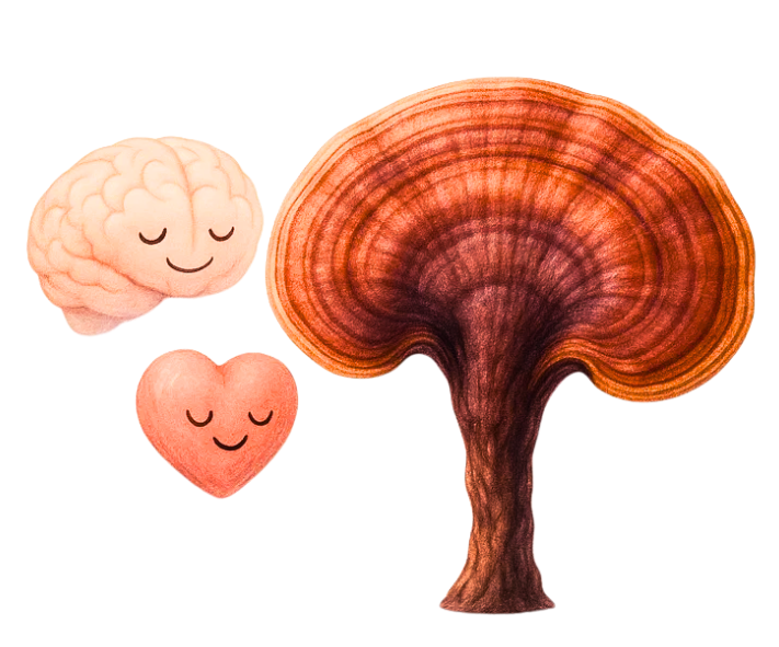 Reishi