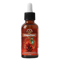 CoguFlow (Composto Bioenergético) Cogumelo Auricularia – 30 ml