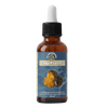 CoguProtect (Composto Bioenergético) Cogumelo Chaga – 30 ml