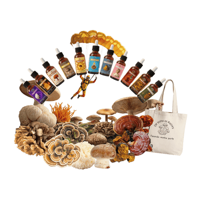 Combo 11 Todas Espécies – Linha de Composto Bionergético + ECOBAG BRINDE