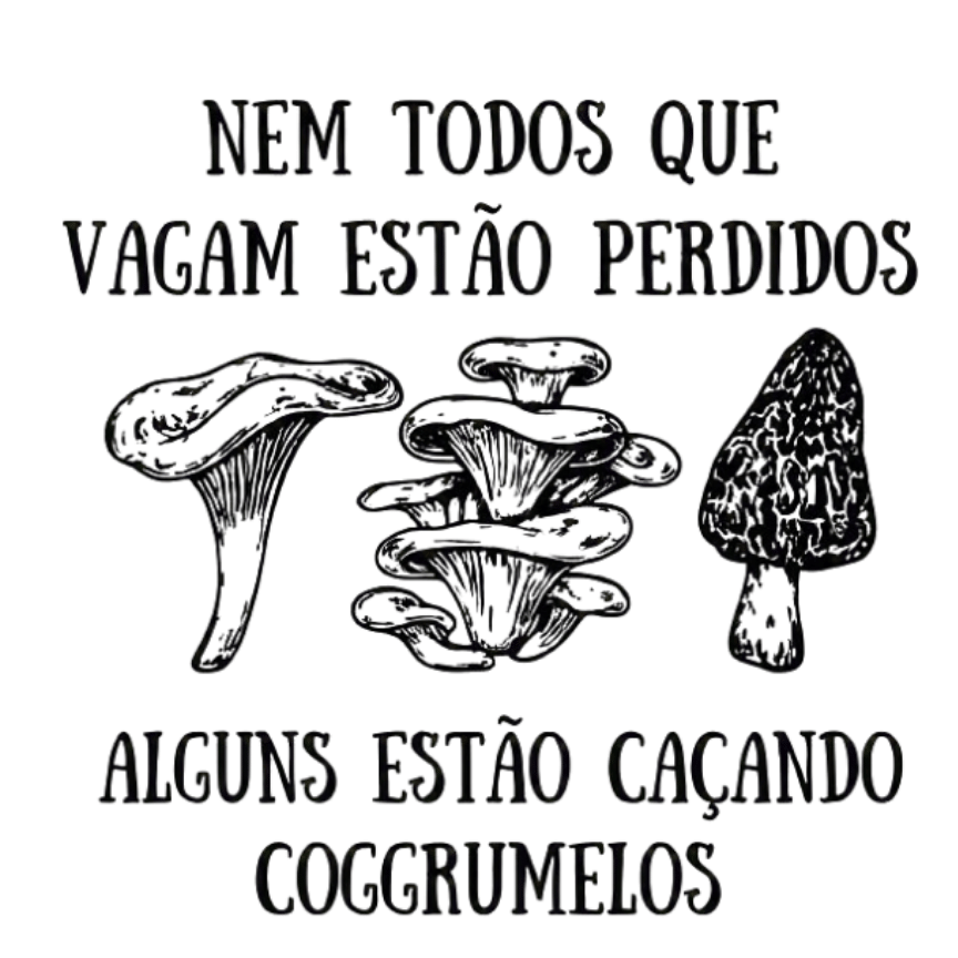 Camisa Nem Todos Que Vagam