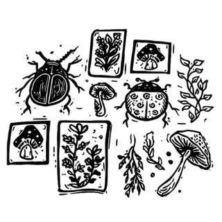 Camisa Insetos e Chapéus