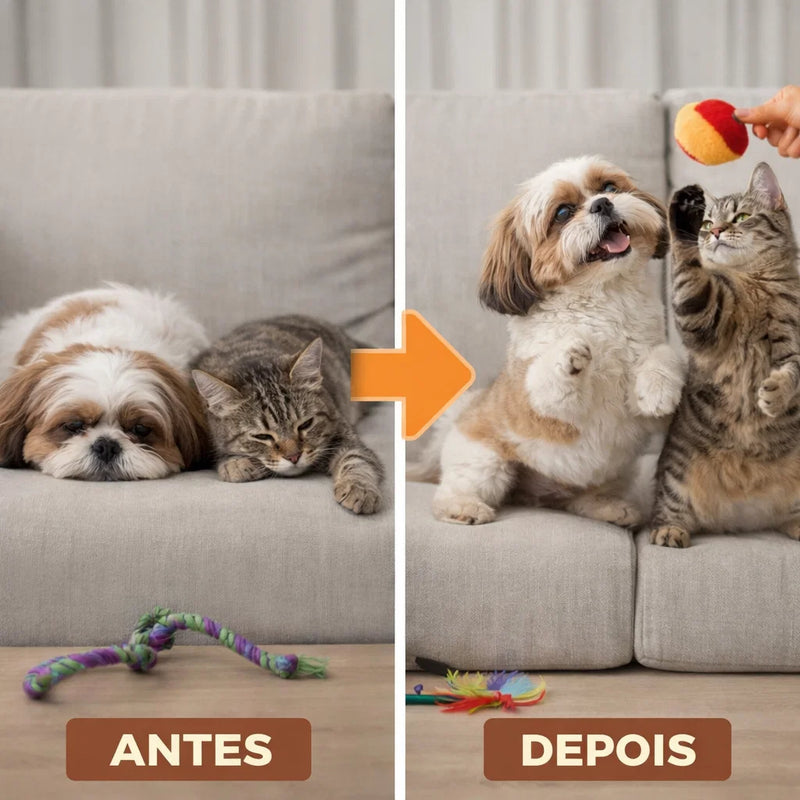 De volta à alegria: mais interação com cuidado natural que seu amigo merece