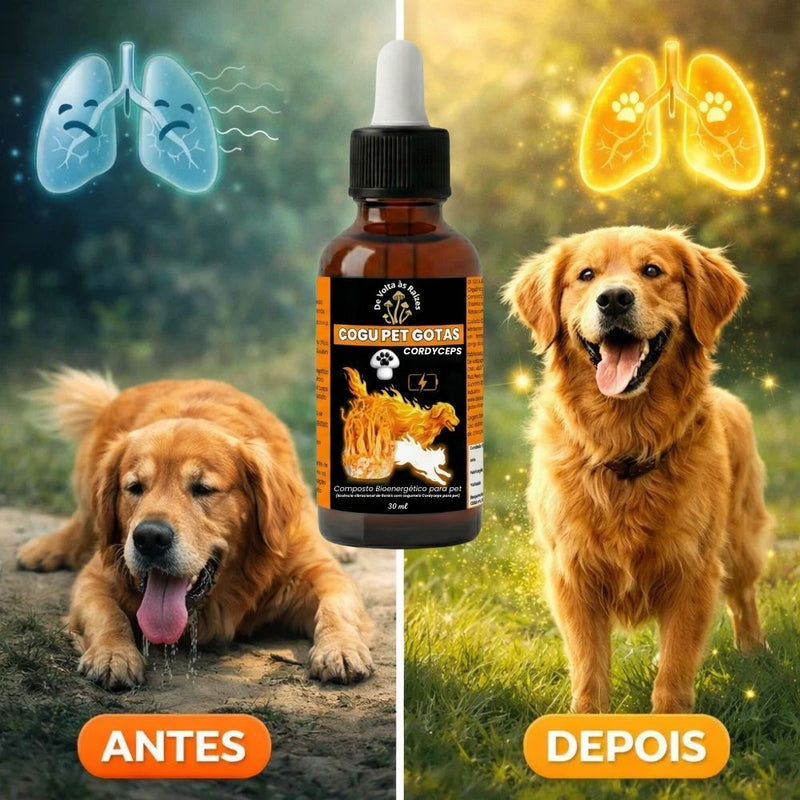 De volta ao ânimo de cada dia