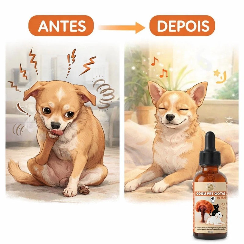 De volta à paz que seu pet merece