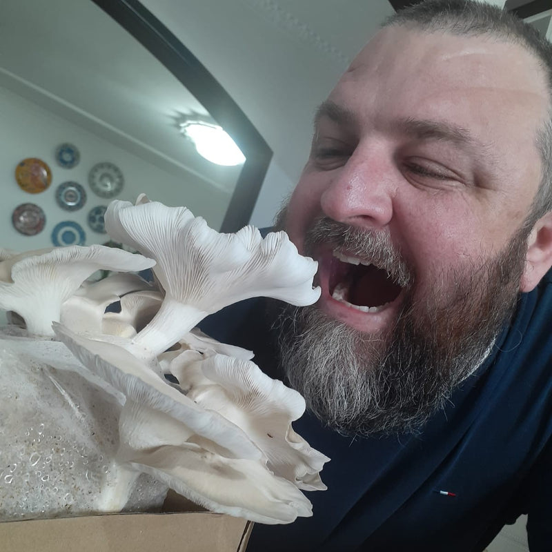 desfrute TAMBÉM MOMENTOS INCRÍVEIS COM QUEM VOCÊ AMA! ​​