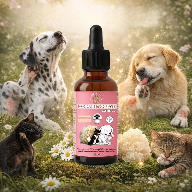 De volta ao cuidado que se reflete por fora