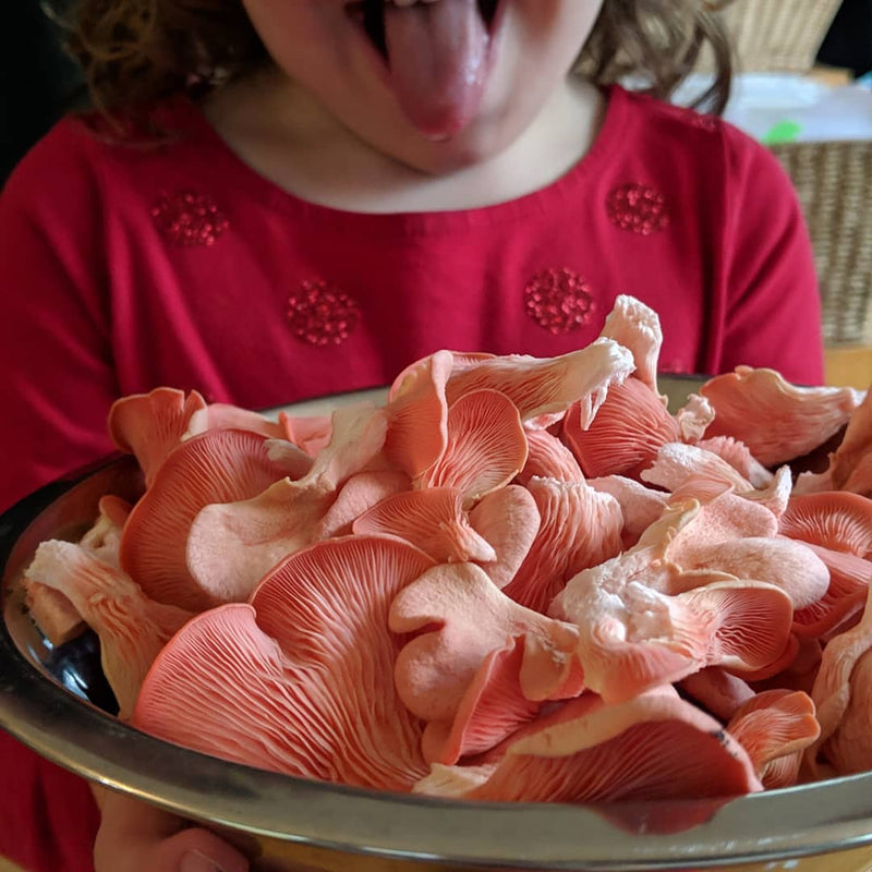 desfrute TAMBÉM MOMENTOS INCRÍVEIS COM QUEM VOCÊ AMA! ​​