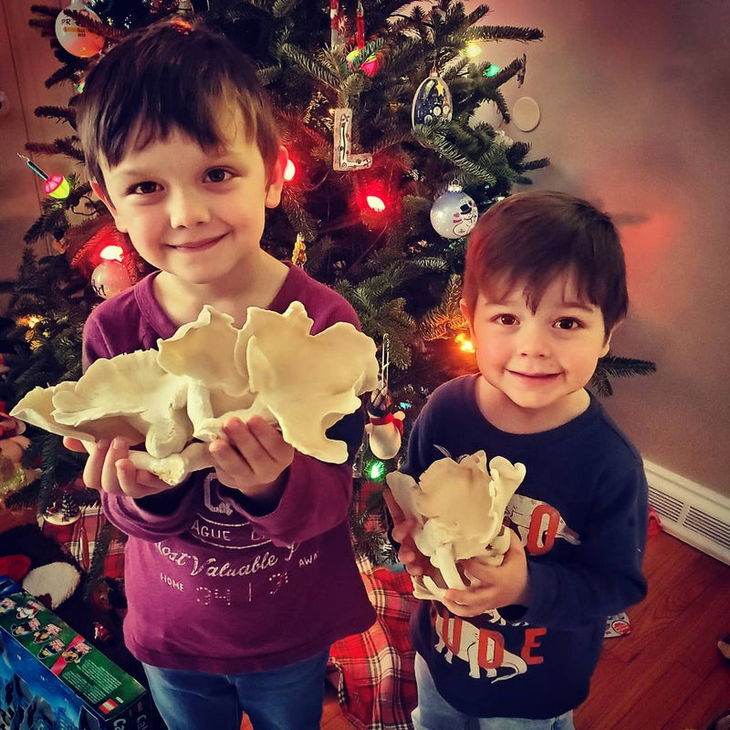 desfrute TAMBÉM MOMENTOS INCRÍVEIS COM QUEM VOCÊ AMA! ​​