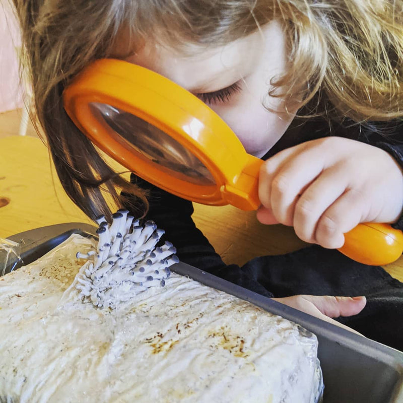 desfrute TAMBÉM MOMENTOS INCRÍVEIS COM QUEM VOCÊ AMA! ​​