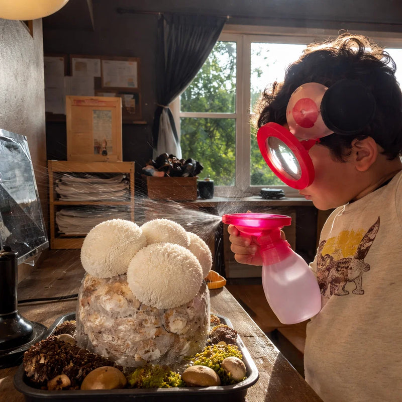 desfrute TAMBÉM MOMENTOS INCRÍVEIS COM QUEM VOCÊ AMA! ​​