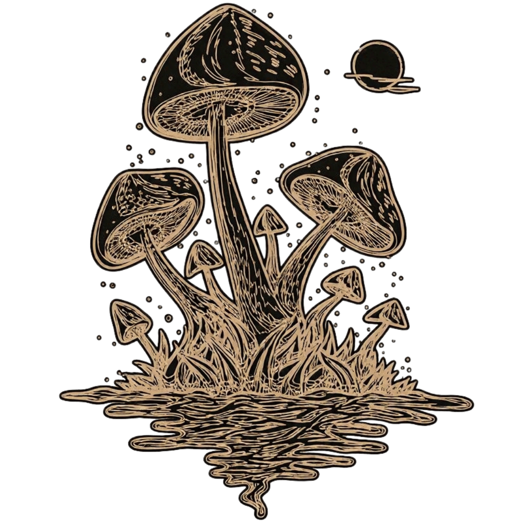 Camisa Espelho d'Água