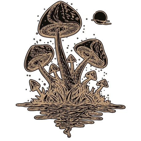 Camisa Espelho d'Água