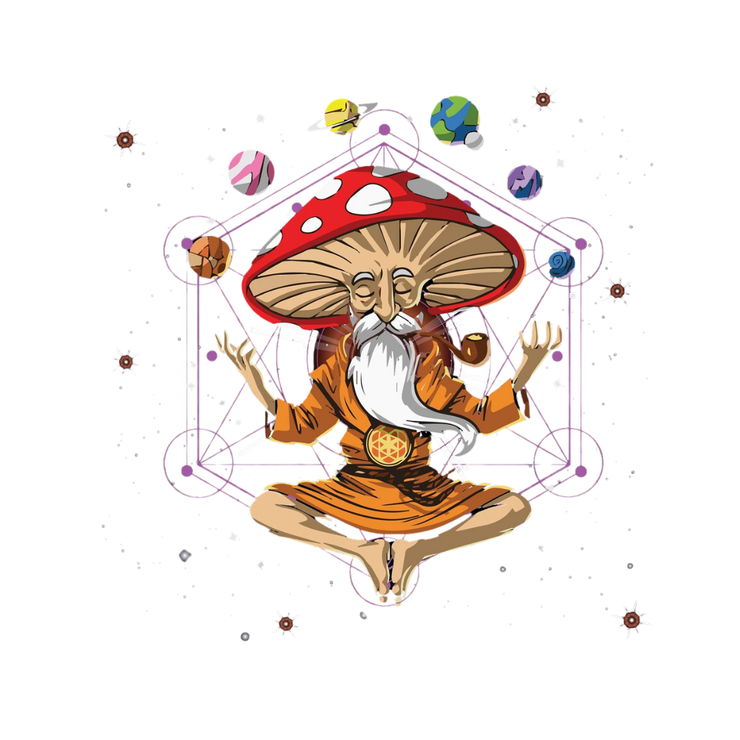 Camiseta Budda Cogumelo e Universos