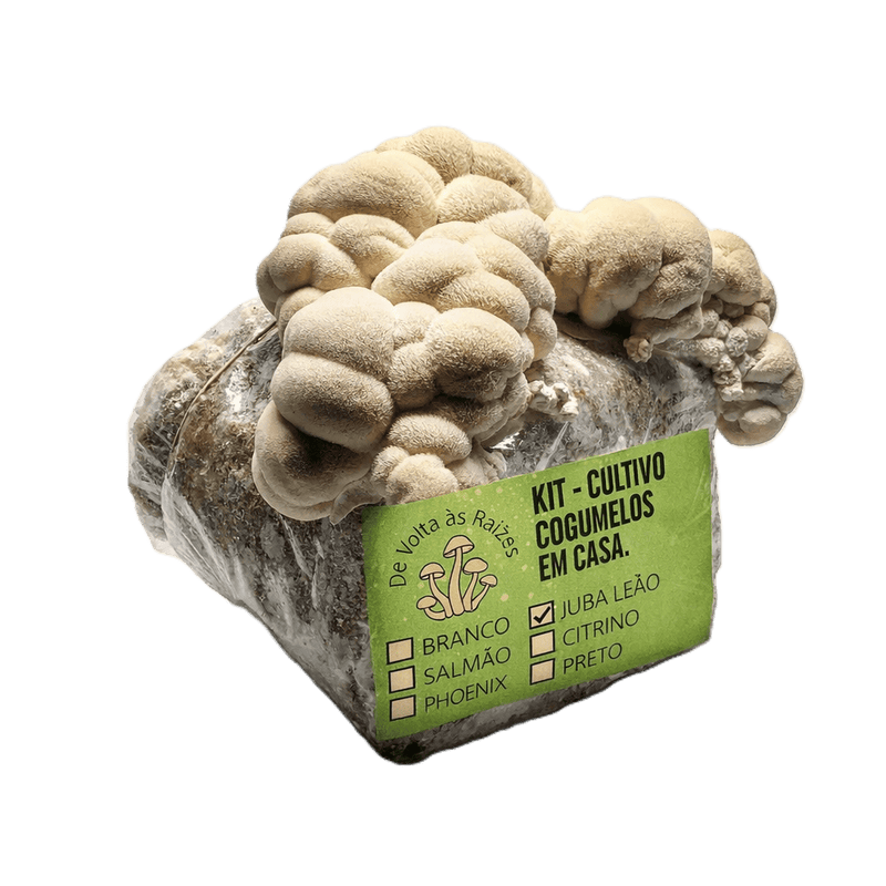 Bloco de Cultivo em casa Juba de Leão