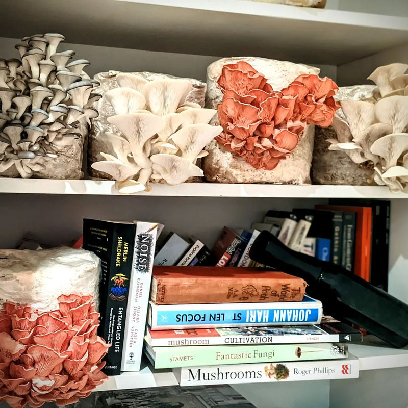 Temperatura, adaptação e armazenamento