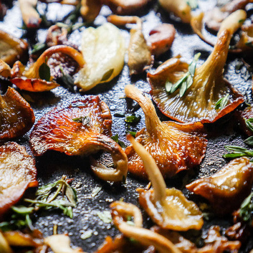 Por que o Shimeji Preto é tão especial na cozinha