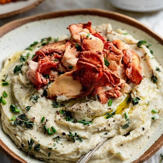 Por que o Shimeji Salmão é tão especial na cozinha
