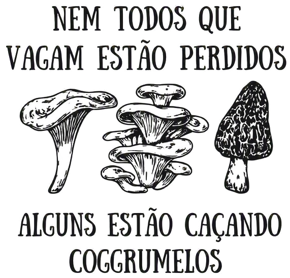 Arte da estampa de Camisa Nem Todos Que Vagam