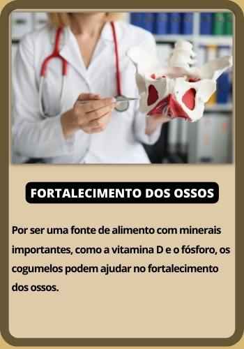 fortalecimento dos ossos e cogumelos