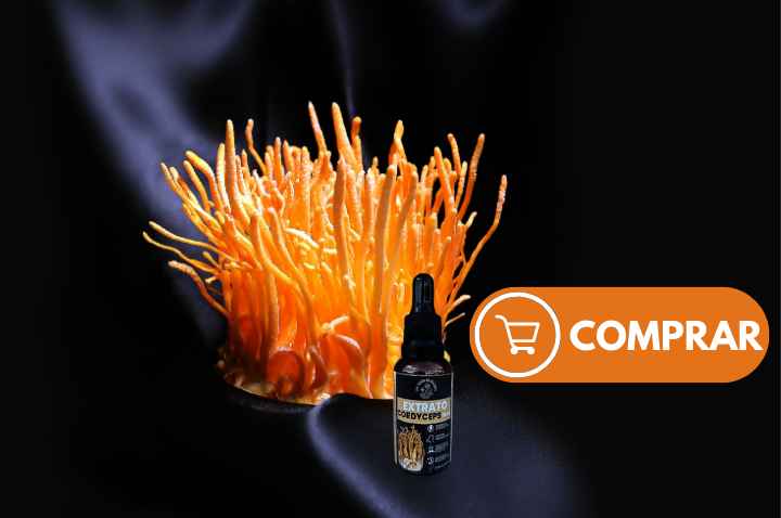 Extrato de Cogumelo Cordyceps