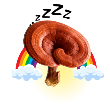 REISHI-COGUMELO-RELAXANTE-TRANQUILIDADE.png